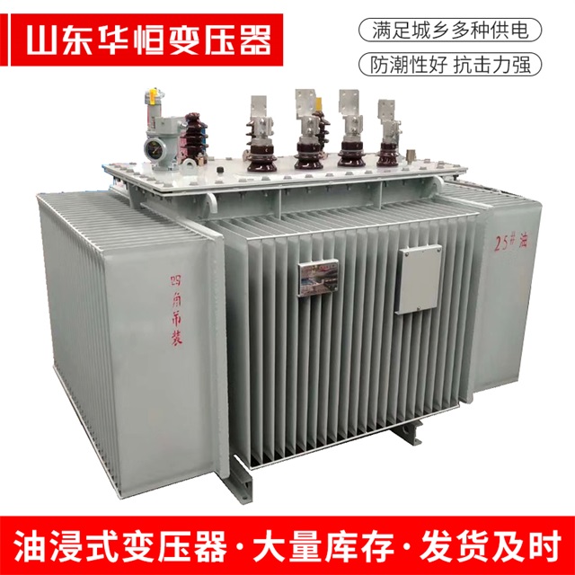 S13-10000/35东至东至东至电力变压器厂家