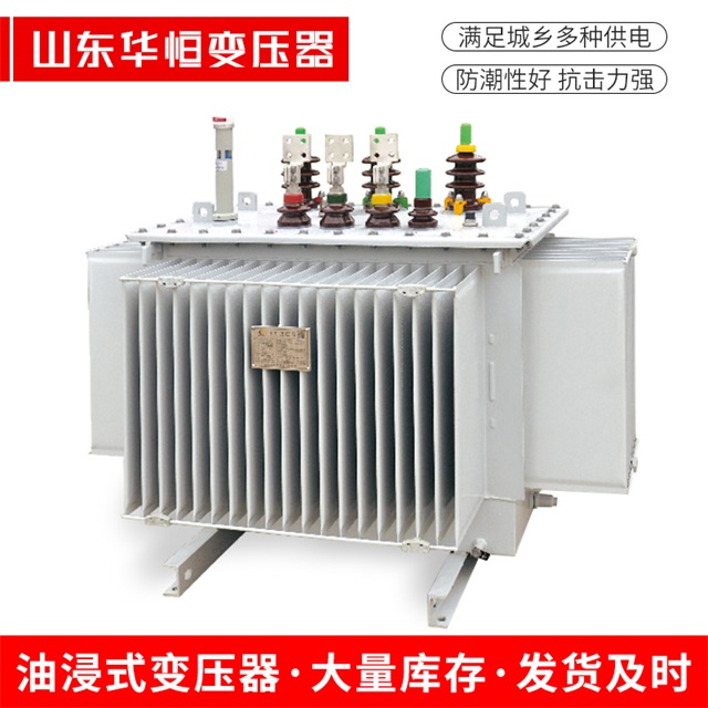 S13-10000/35东至东至东至电力变压器