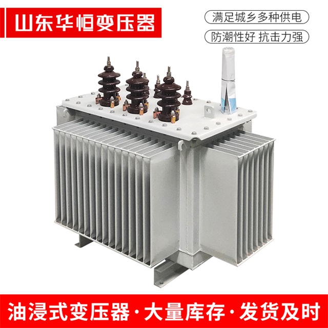 S13-10000/35东至东至东至油浸式变压器厂家